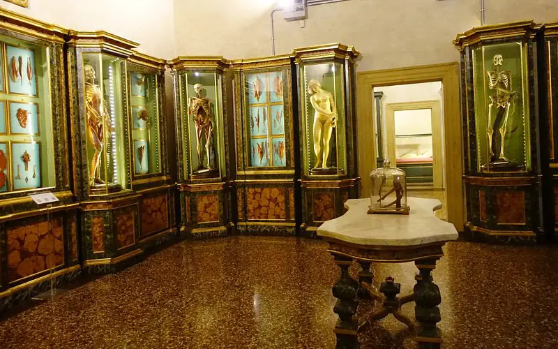 Museo di Palazzo Poggi