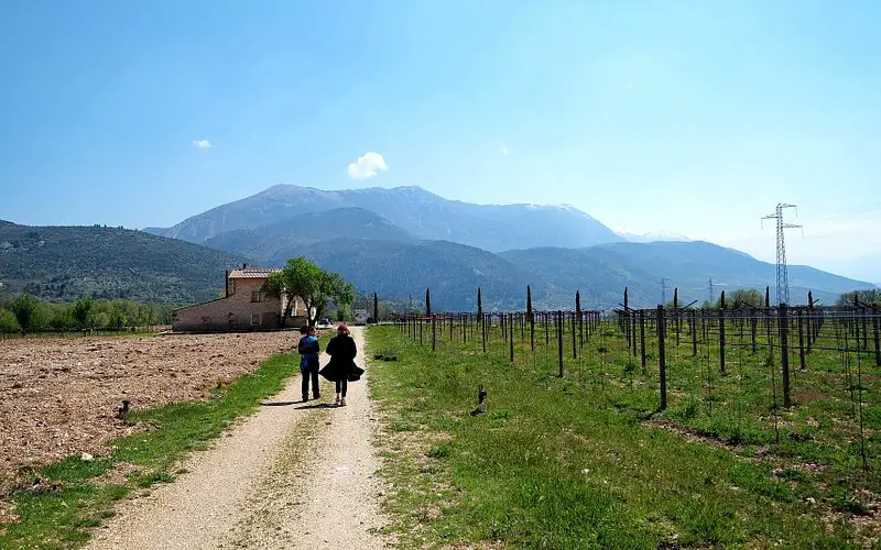 Valle Reale Winery