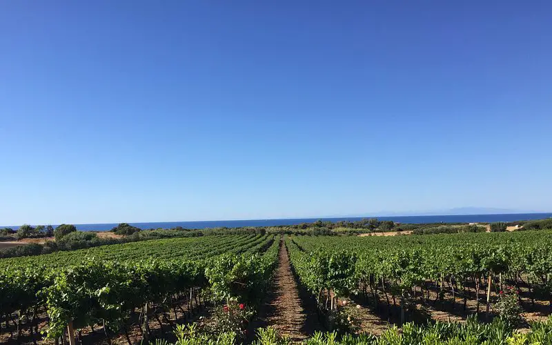 10 actividades imprescindibles para disfrutar en Valledoria, Cerdeña