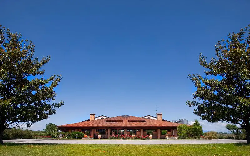 Museo del Vino - Vigneti Pittaro