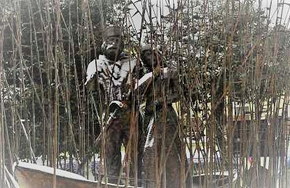 Statue di Giuseppe Garibaldi e Anita