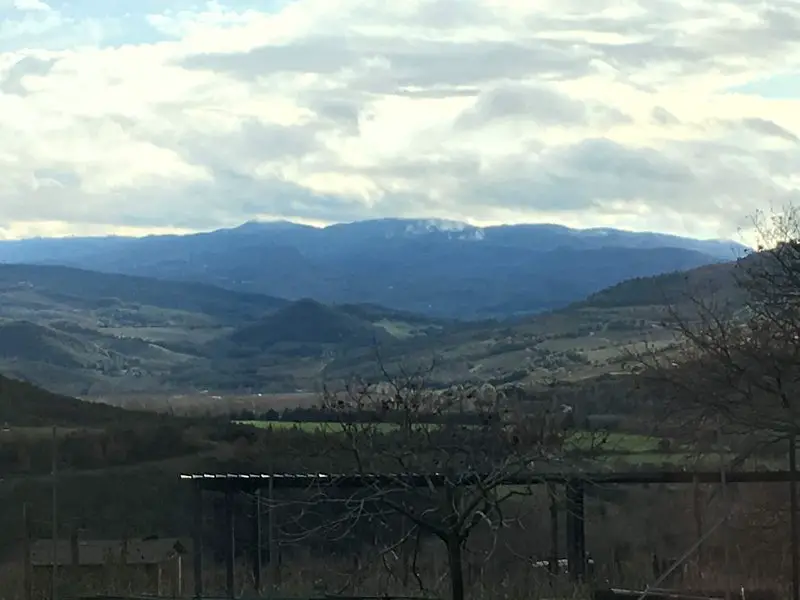 Azienda Agricola La Cantoniera