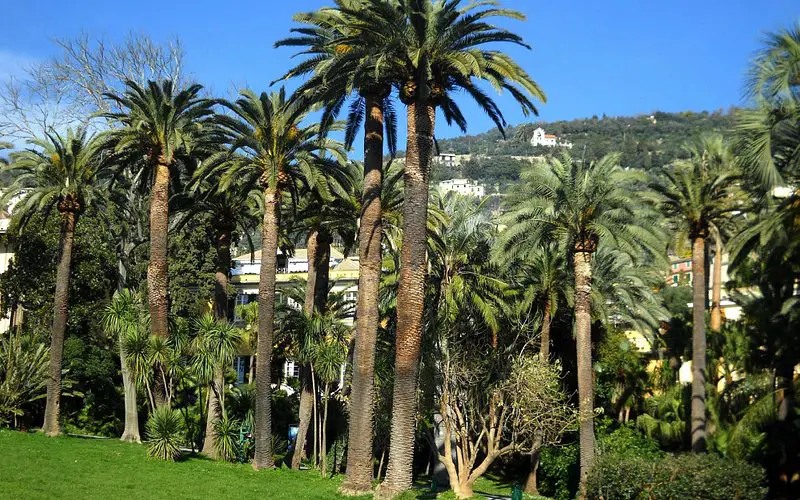 Parques del Nervi