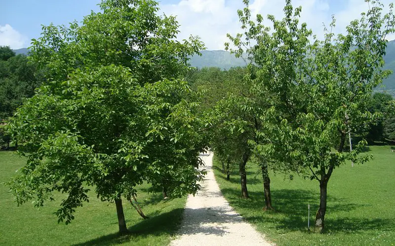 Parco Rurale di San Floriano