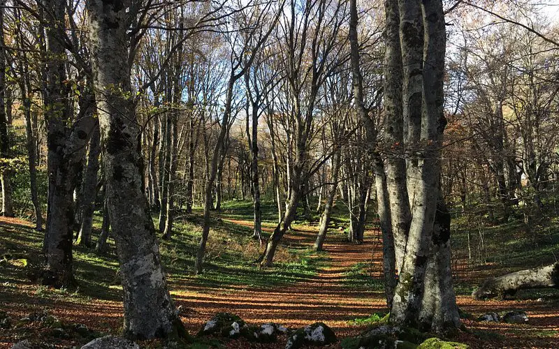 10 increíbles actividades por hacer en Pescocostanzo: Descubre sus tesoros escondidos