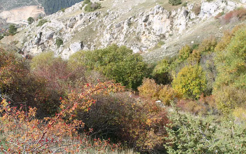 Sentiero Serra di Celano