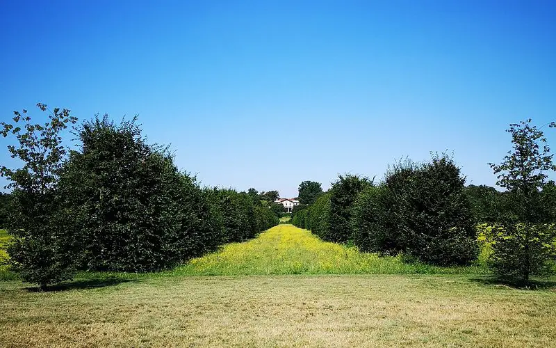 10 emocionantes actividades para explorar Monza e Brianza: la guía definitiva