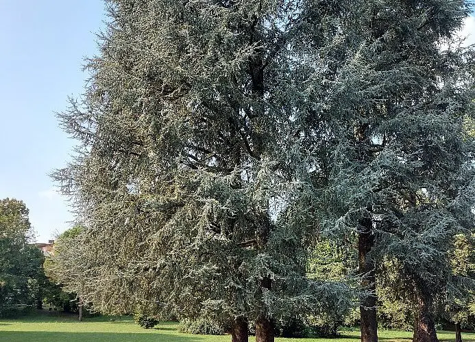 Parco Di Porta Spinola