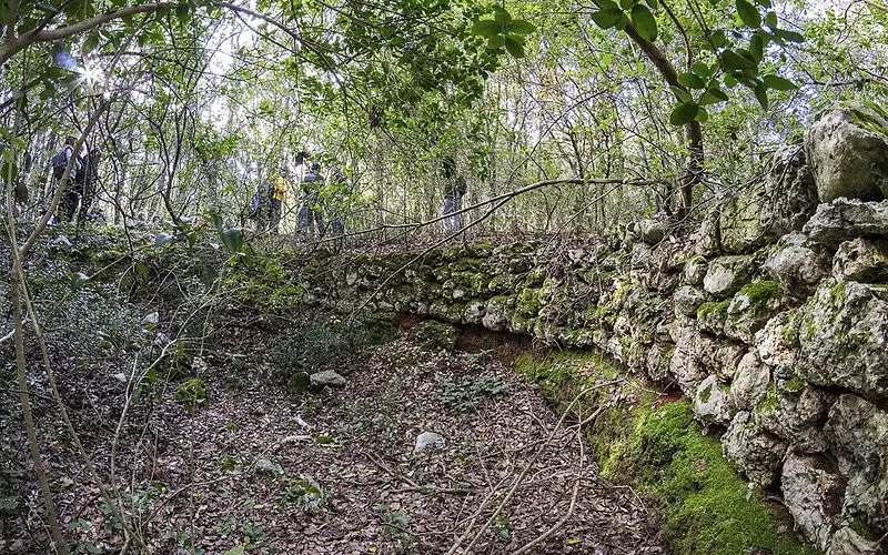 Bosco delle Pianelle Natural Reserve