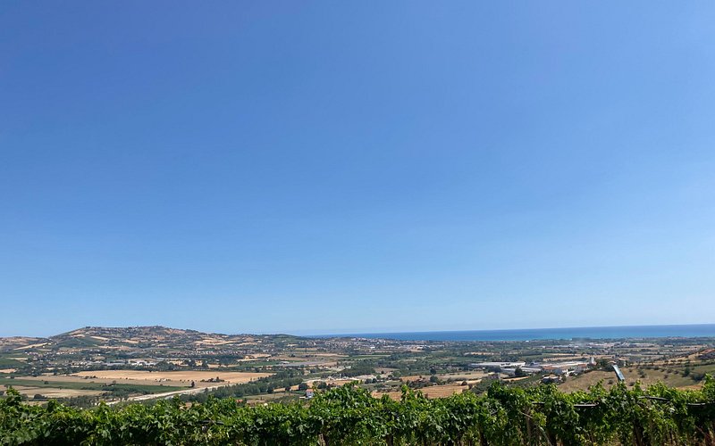 Azienda Agricola Centorame: Una experiencia vinícola inolvidable en Abruzzo