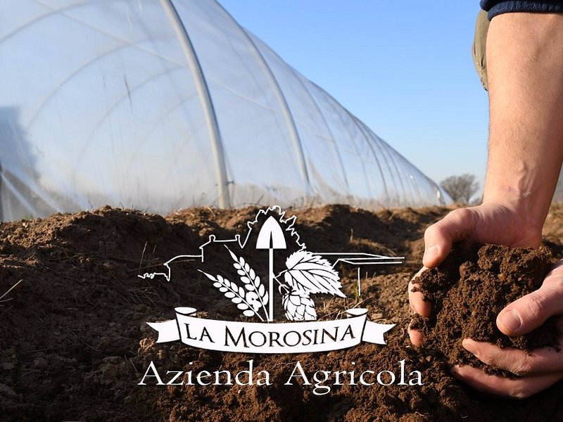 Azienda Agricola La Morosina