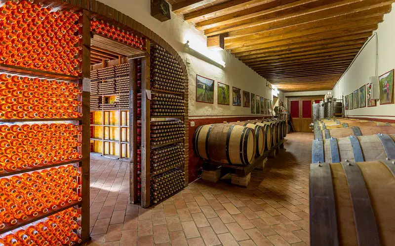 winery Agriturismo Santo Stefano