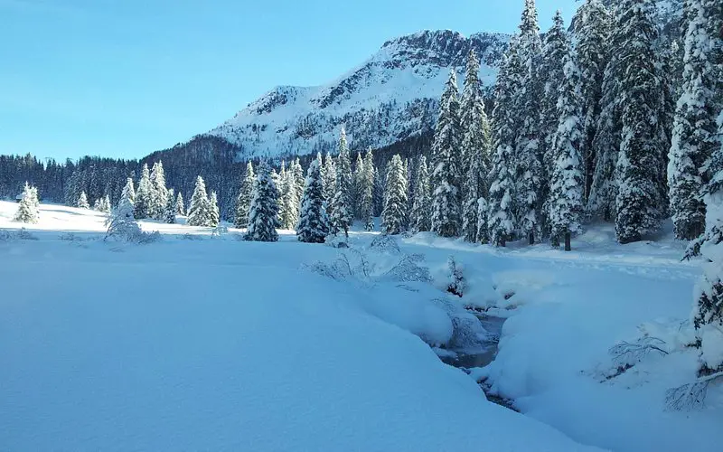 Centro Sci di Fondo Passo San Pellegrino - Alochet