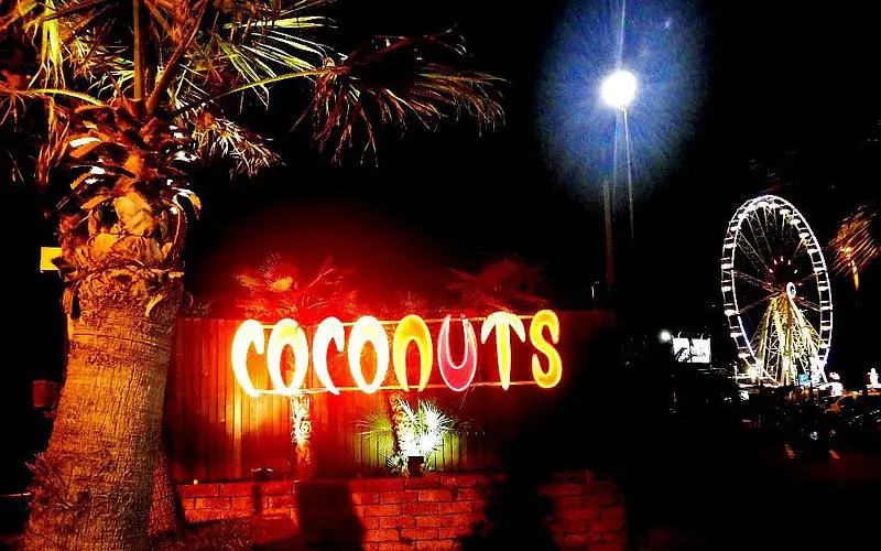 Coconuts