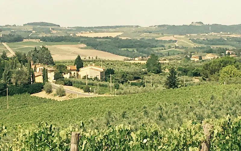 Fattoria San Michele a Torri