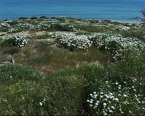 Dune di Casalbordino