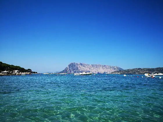 Le Farfalle - Cala Suaraccia Beach