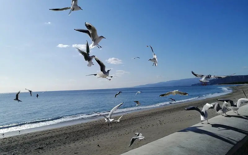 Lungomare Stefano Pugliese