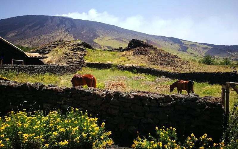 Etna Escursioni a Cavallo/Etna Horse Riding