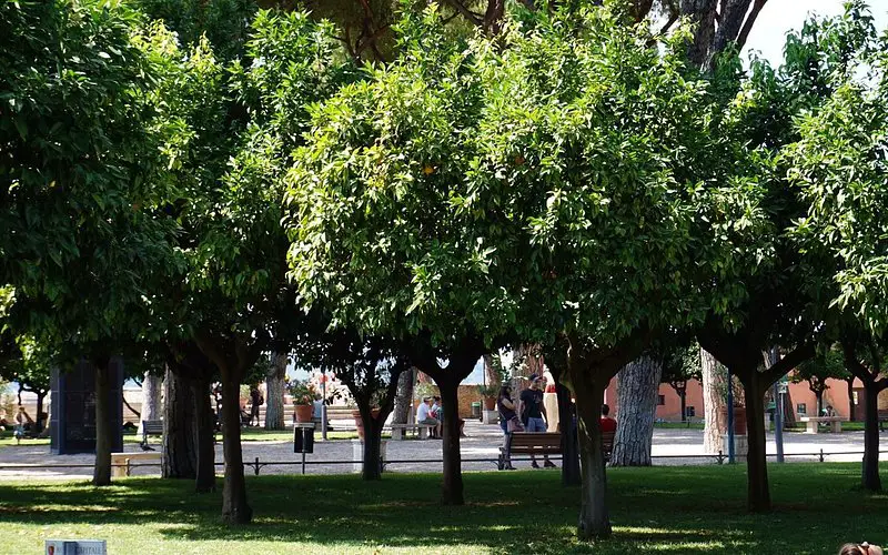 Giardino degli Aranci