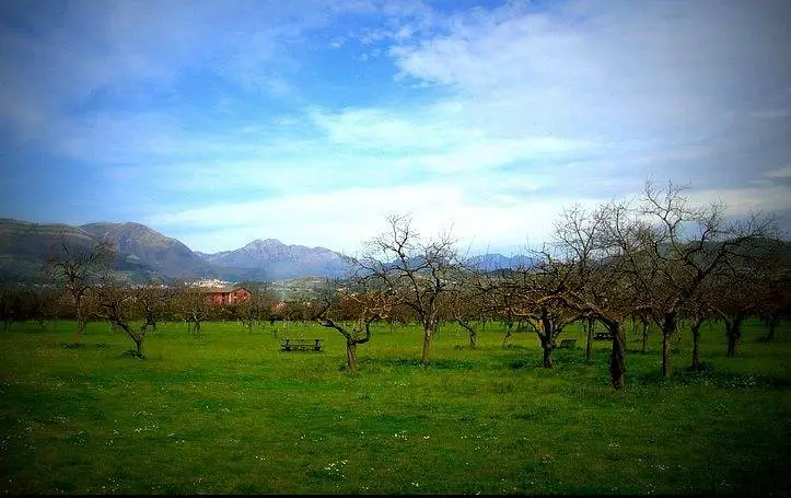 Archaeological Park of Pontecagnano Faiano