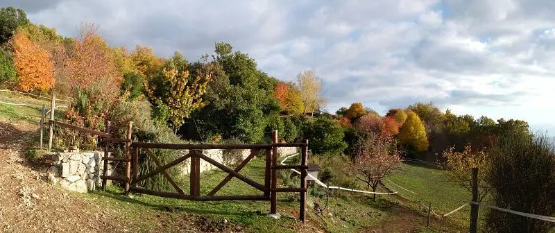 Parco degli Aceri