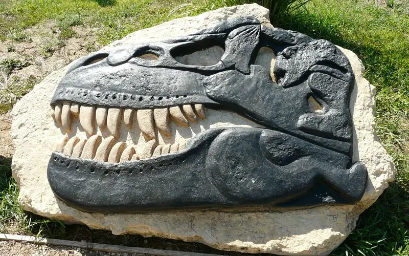 Parco Paleontologico Dinosardo