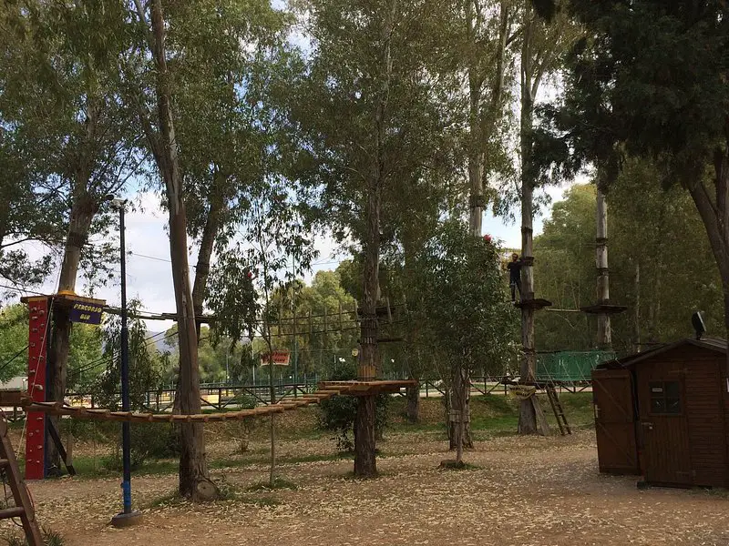 Koala Park