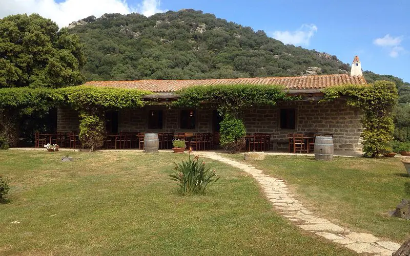 Piero Mancini Vineyards (Balajana Estate)