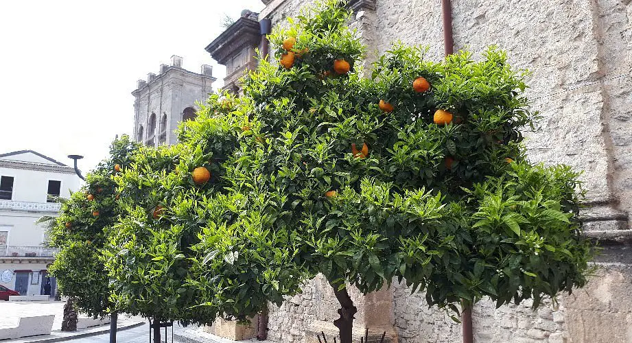 Piazza Vittorio Veneto