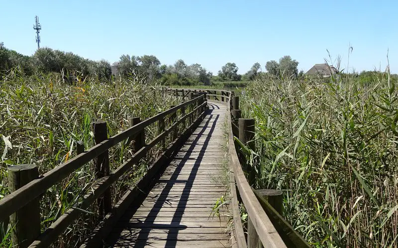 Riserva Valle Canal Novo