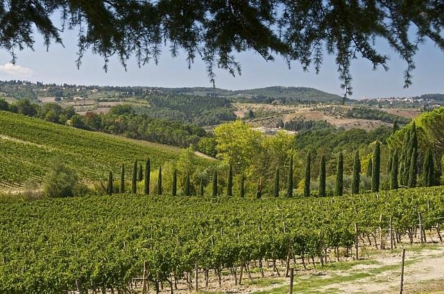 Descubriendo Ruffino - Tenuta di Poggio Casciano: Una joya en el corazón de la Toscana