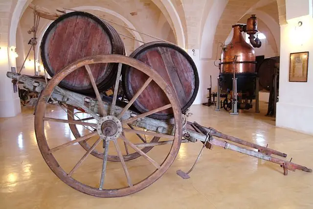 Museo della Civilta del Vino Primitivo