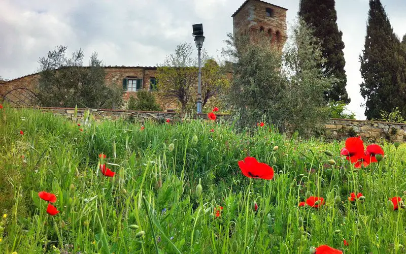 San Donato In Poggio