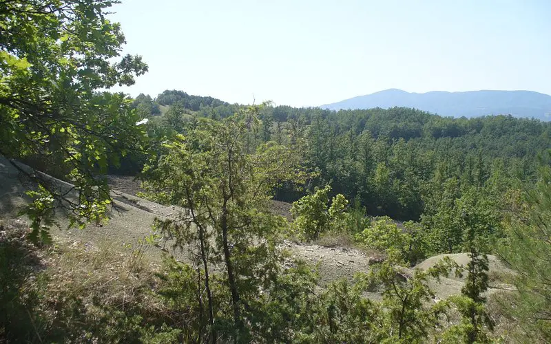 Riserva Naturale Regionale e Oasi WWF dei Ghirardi