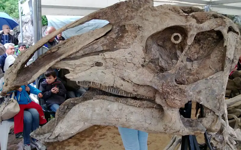 Sito Paleontologico Dinosauro Antonio