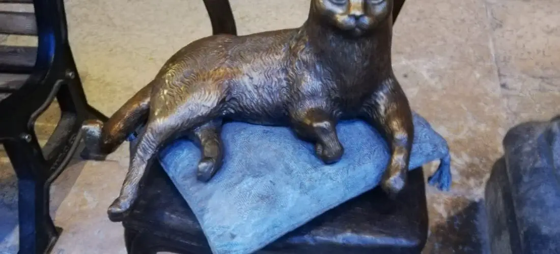 Statua di Re Gino, Il gatto