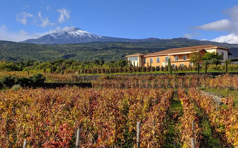 VIVERA Etna Winery