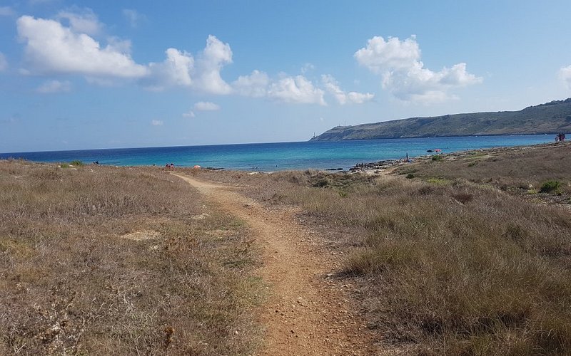Punta Prosciutto: Un paraíso mediterráneo para disfrutar del mar y la playa