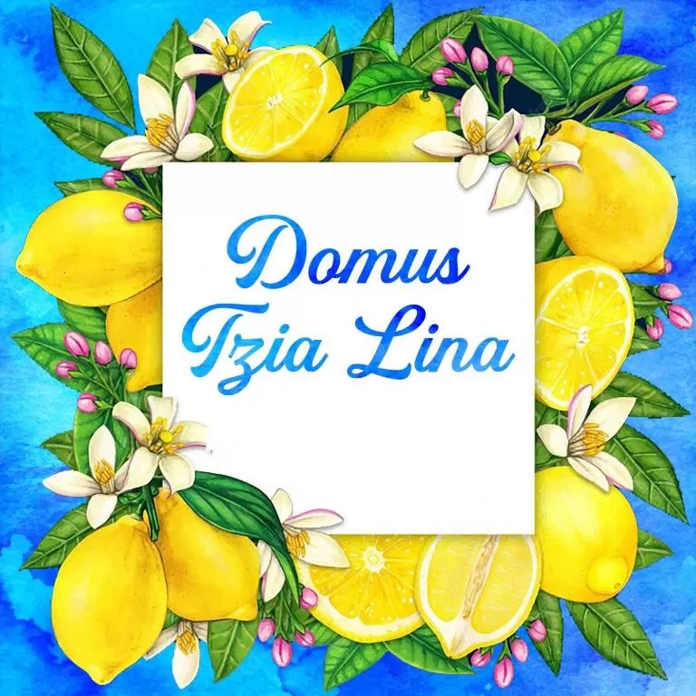 Domus Tzia Lina