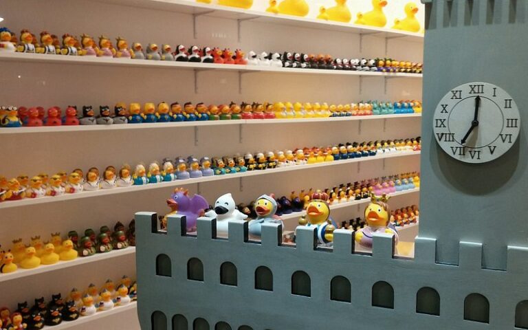 Descubre la diversión de Florence Duck Store