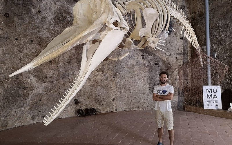 Descubre el encanto del MuMa Museo del Mare Milazzo