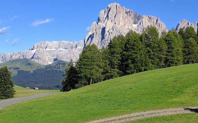 Descubre la majestuosidad de Alpe di Siusi: Un paraíso verde en los Alpes