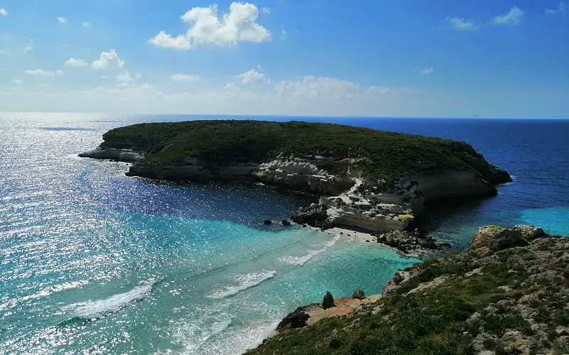 Isola dei Conigli: Un Paraíso Marino en Lampedusa
