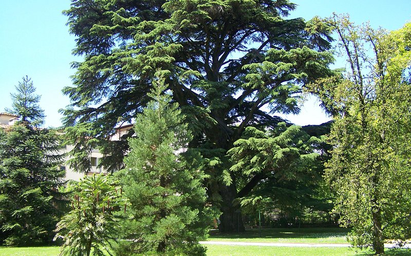 Orto Botanico di Lucca: Un rincón de naturaleza en el corazón de la ciudad