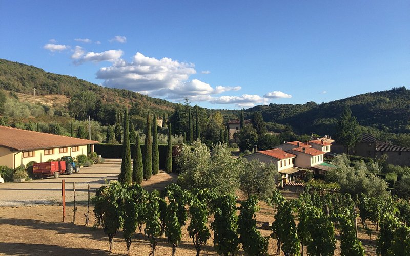 Descubre la magia de Lamole di Lamole: una experiencia vitivinícola inolvidable