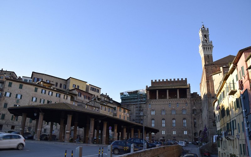 Descubriendo la Piazza del Mercato en Siena
