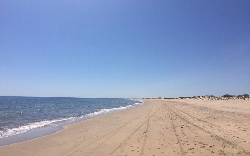 Descubre la belleza de la Playa Nueva Umbria en Huelva