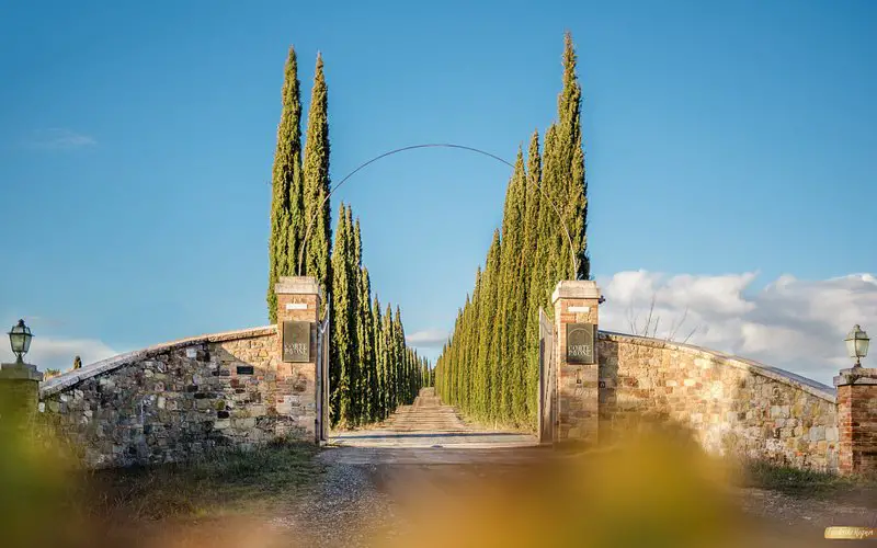 Tenuta Corte Pavone: Una experiencia vinícola única en Montalcino