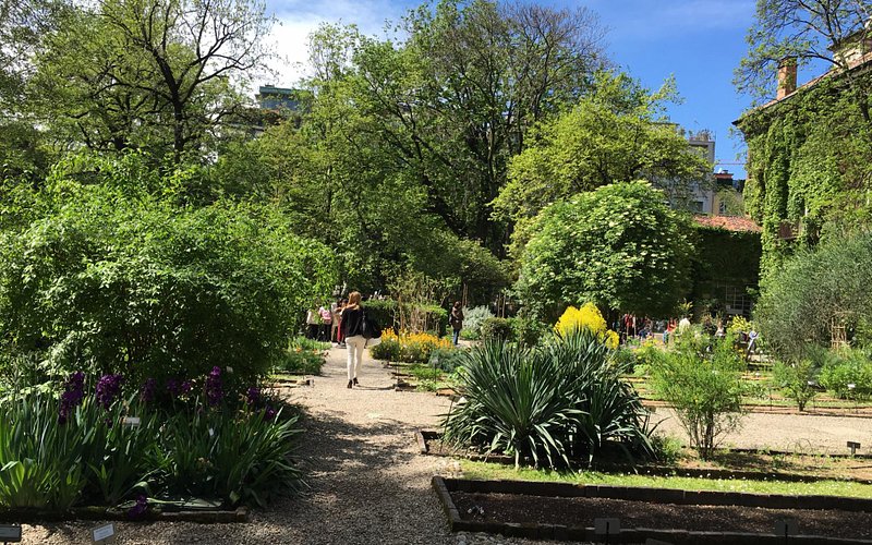 Descubre el encanto del Orto Botanico di Brera en Milán